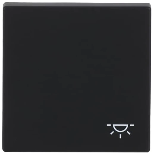 ABB Busch-Jaeger Future bedieningselement wip pulsdrukker aan / uit enkele wip zwart RAL 9005 2CKA001751A3193