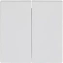 ABB Busch-Jaeger Future Axcent bedieningselement voor serie + wissel aan / uit tweedelige wip wit RAL 9016 2CKA001751A3024