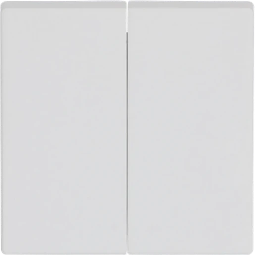 ABB Busch-Jaeger Future Axcent bedieningselement voor serie + wissel aan / uit tweedelige wip wit RAL 9016 2CKA001751A3024