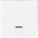 ABB Busch-Jaeger Future Axcent tiptoets + relaissokkel enkele wip wit RAL 9016 2CKA006599A2963