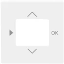 ABB Busch-Jaeger Future Solo Axcent Carat Centraalplaat timer 6455-56 1098U(F) centraalplaat wit RAL 9016 2CKA006430A0306