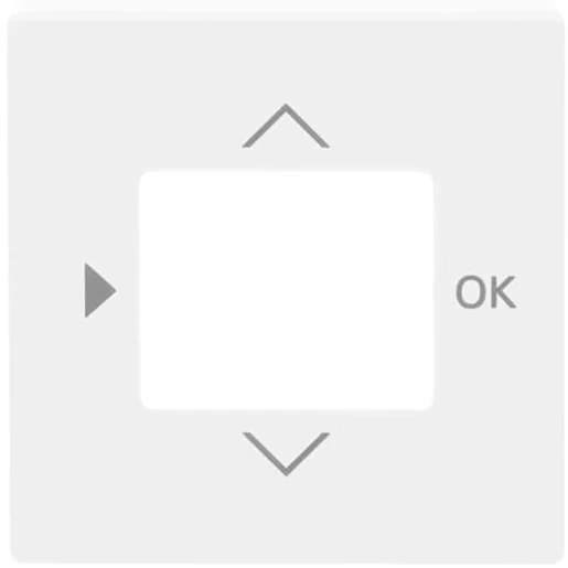 ABB Busch-Jaeger Future Solo Axcent Carat Centraalplaat timer 6455-56 1098U(F) centraalplaat wit RAL 9016 2CKA006430A0306