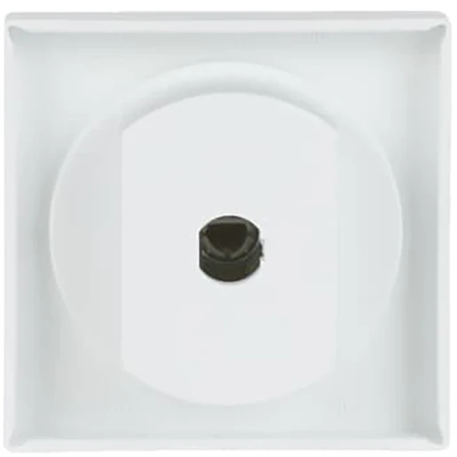 ABB Busch-Jaeger Future Centraalplaat + greep knevelgreep wit RAL 9016 2CKA001710A3872