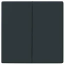 ABB Busch-Jaeger Future Axcent Carat bedieningselement serie en wissel aan / uit tweedelige wip antraciet RAL 7021 2CKA001751A2930