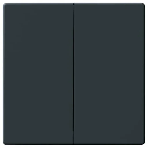 ABB Busch-Jaeger Future Axcent Carat bedieningselement serie en wissel aan / uit tweedelige wip antraciet RAL 7021 2CKA001751A2930