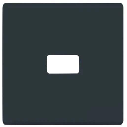 ABB Busch-Jaeger bedieningselement aan / uit enkele wip antraciet RAL 7021 2CKA001731A1700