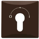 ABB Busch-Jaeger centraalplaat slot 2733usl-101 aan / uit sleutel bruin RAL 8017 2CKA001710A3805