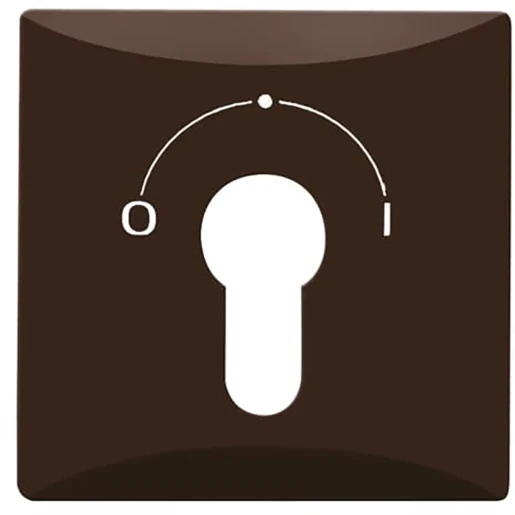 ABB Busch-Jaeger centraalplaat slot 2733usl-101 aan / uit sleutel bruin RAL 8017 2CKA001710A3805