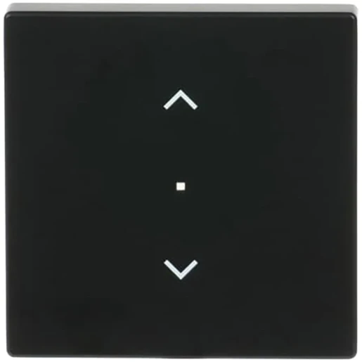 ABB Busch-Jaeger F@home bedieningswip enkele wip zwart RAL 9005 2CKA006220A0500