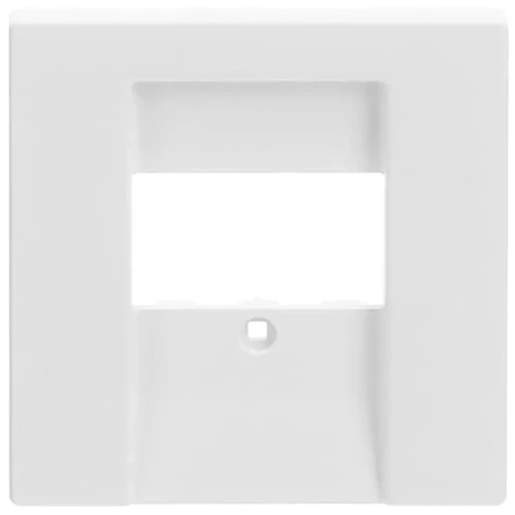 ABB Busch-Jaeger Future Axcent Centraalplaat TAE/USB TAE Bedieningselement Zonder label wit 2CKA001710A3926