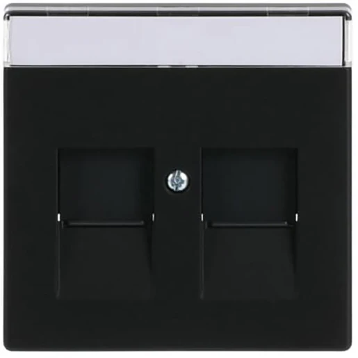 ABB Busch-Jaeger Future Centraalplaat Jack plug Centraalplaat 2 connectoren Met label zwart 2CKA001710A3910