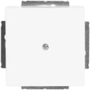 ABB Busch-Jaeger Future Solo Axcent Carat Centraalplaat blind wit RAL 9016 2CKA001710A3161