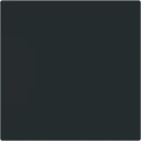 ABB Busch-Jaeger Art linear Bedieningswip enkele wip zwart RAL 9005 2CKA001751A3336