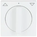 ABB Busch-Jaeger Future Centraalplaat + greep knevelgreep wit RAL 9016 2CKA001710A3872