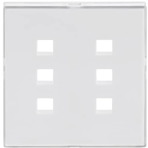 ABB Busch-Jaeger Future Solo Axcent Carat Infoli infoline centraalplaat 1566u centraalplaat wit RAL 9016 2CKA001582A0353