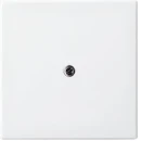 ABB Busch-Jaeger Balance centraalplaat 1x uit boring 10mm Centraalplaat Zonder label wit 2CKA001724A4338