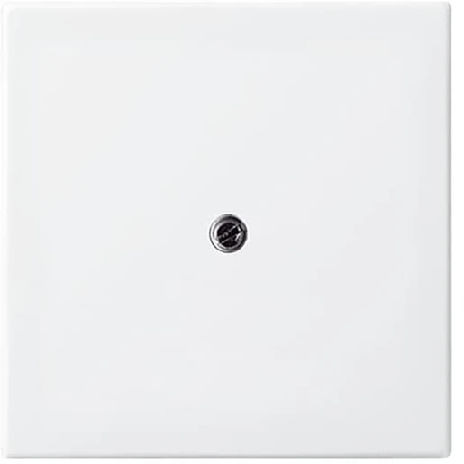 ABB Busch-Jaeger Balance centraalplaat 1x uit boring 10mm Centraalplaat Zonder label wit 2CKA001724A4338