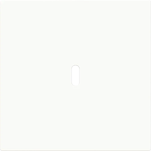 ABB Busch-Jaeger CPL USB-C 65W voeding art-wit