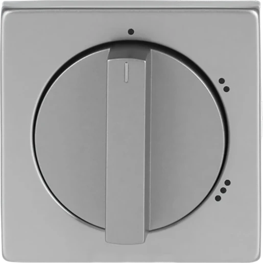 ABB Busch-Jaeger Centraalplaat 2710/1U knevelgreep RVS 2CKA001710A3759