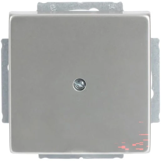 ABB Busch-Jaeger Centraalplaat blind RVS 2CKA001710A3751