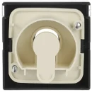 ABB Busch-Jaeger Future Carat centraalplaat slot aan / uit sleutel antraciet RAL 7021 2CKA001710A3626