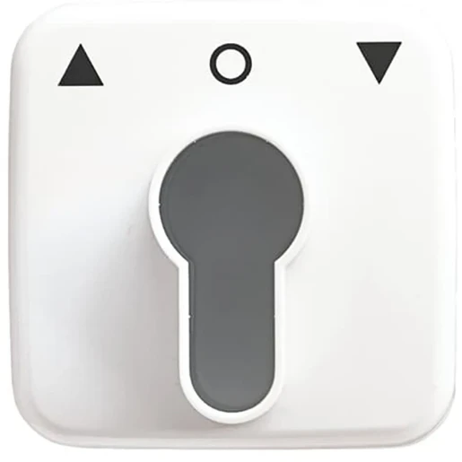 ABB Busch-Jaeger Reflex SI Centraalplaat slot sleutel wit RAL 9010 2CKA001710A1415