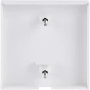 ABB Busch-Jaeger Future Axcent centraalplaat 2610/6u aan / uit trekkoord wit RAL 9016 2CKA001753A0313