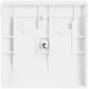 ABB Busch-Jaeger Future Solo Axcent Carat Centraalplaat Jack plug Centraalplaat 2 connectoren Met label wit 2CKA001710A3176