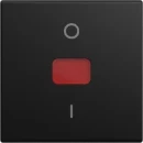 ABB Busch-Jaeger wip v 2P contr SI-B-matzwart