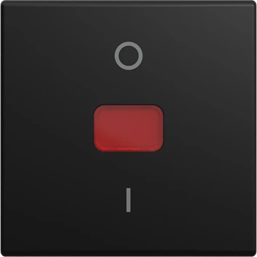 ABB Busch-Jaeger wip v 2P contr SI-B-matzwart