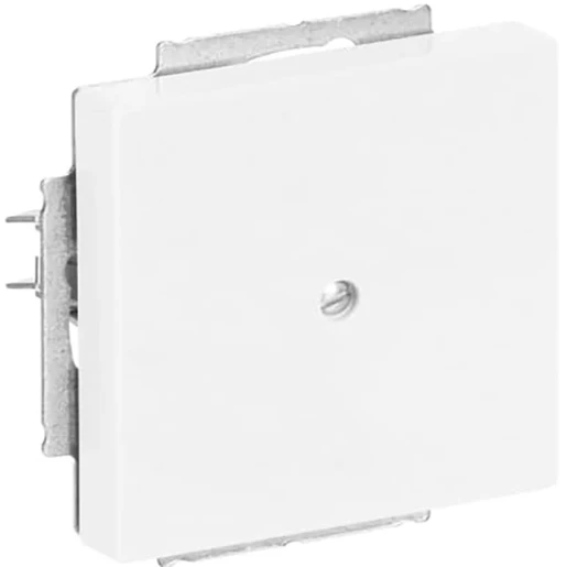 ABB Busch-Jaeger Future Solo Axcent Carat Centraalplaat blind wit RAL 9016 2CKA001710A3161