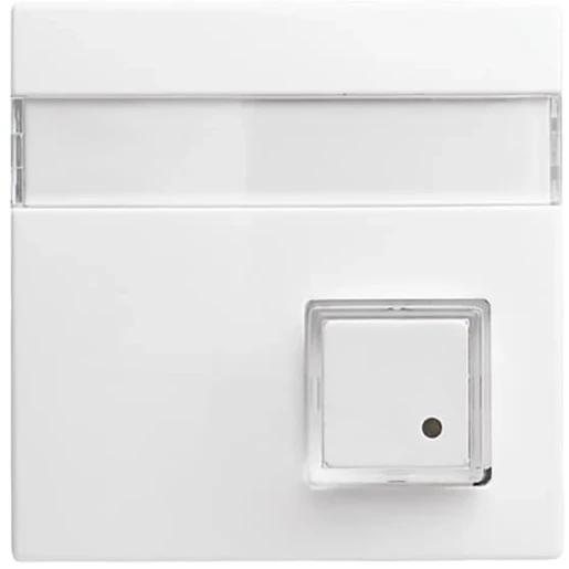 ABB Busch-Jaeger Balance Infoline centraalplaat impulsdrukker si-b aan / uit enkele drukker wit RAL 9010 2CKA001582A0397