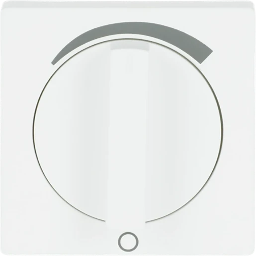 ABB Busch-Jaeger Future Centraalplaat + greep draaiknop wit RAL 9016 2CKA001710A3870