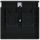 ABB Busch-Jaeger Future, Carat Centraalplaat Jack plug Centraalplaat 2 connectoren Met label antraciet 2CKA001710A3627