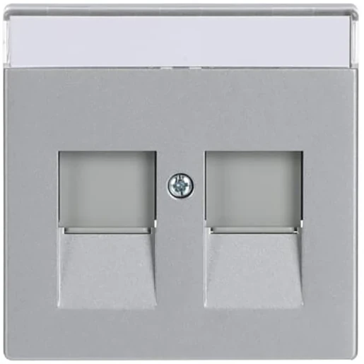 ABB Busch-Jaeger Future Centraalplaat Jack plug Centraalplaat 2 connectoren Met label aluminium 2CKA001710A3676