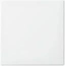 ABB Busch-Jaeger Fohue bedieningswip enkel balance enkele wip wit RAL 9010 2CKA006730A0151