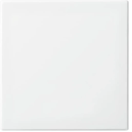 ABB Busch-Jaeger Fohue bedieningswip enkel balance enkele wip wit RAL 9010 2CKA006730A0151