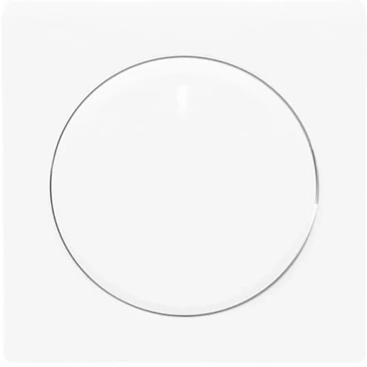 ABB Busch-Jaeger Future Axcent Centraalplaat draaiknop wit RAL 9016 2CKA006599A2961