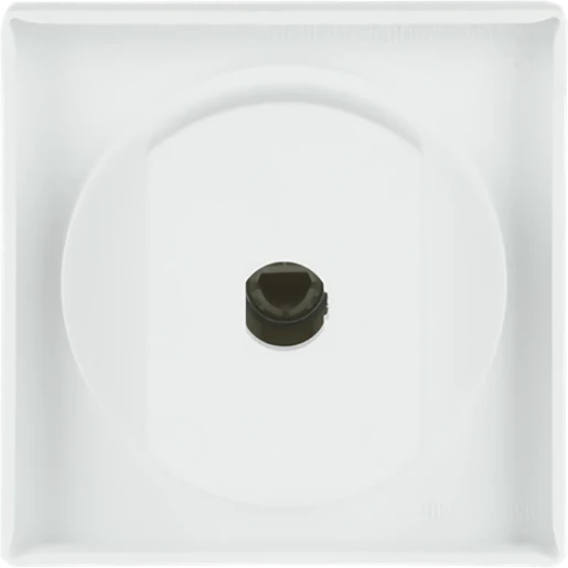 ABB Busch-Jaeger Future Centraalplaat + greep draaiknop wit RAL 9016 2CKA001710A3870