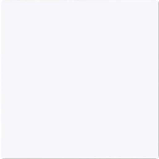 ABB Busch-Jaeger Art linear Bedieningswip enkele wip wit RAL 9016 2CKA001751A3333