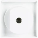 ABB Busch-Jaeger Future Solo Axcent Carat Centraalplaat knevelgreep wit RAL 9016 2CKA001710A3172