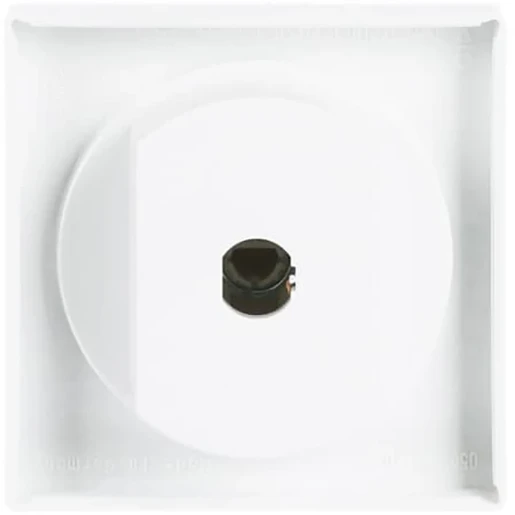 ABB Busch-Jaeger Future Solo Axcent Carat Centraalplaat knevelgreep wit RAL 9016 2CKA001710A3172