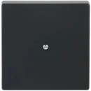 ABB Busch-Jaeger Future centraalplaat 1x uit boring 10mm Jack plug Centraalplaat Zonder label zwart 2CKA001710A3896