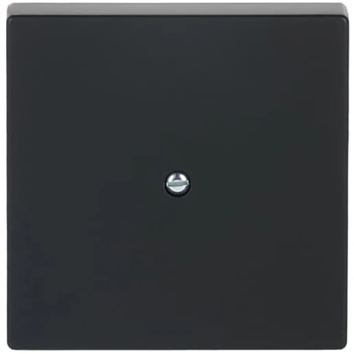 ABB Busch-Jaeger Future centraalplaat 1x uit boring 10mm Jack plug Centraalplaat Zonder label zwart 2CKA001710A3896