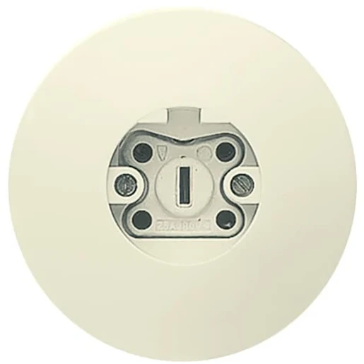 ABB Busch-Jaeger wcd vpl rond inb Perilex 25A