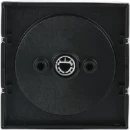 ABB Busch-Jaeger Centraalplaat 2710/1U knevelgreep RVS 2CKA001710A3759