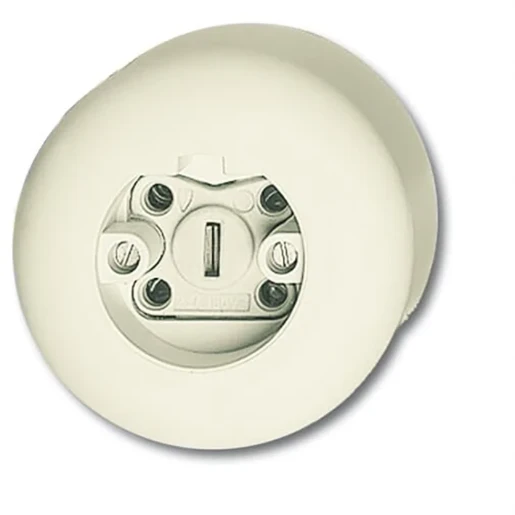 ABB Busch-Jaeger wcd rond opbouw Perilex 25A