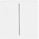 ABB Busch-Jaeger Future Solo Axcent Carat bedieningselement serie en wissel aan / uit tweedelige wip wit RAL 9016 2CKA001751A2752