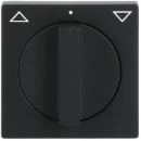 ABB Busch-Jaeger Future Centraalplaat knevelgreep zwart RAL 9005 2CKA001710A3894