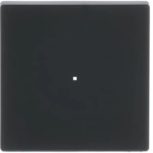 ABB Busch-Jaeger F@home bedieningswip aan / uit enkele wip zwart RAL 9005 2CKA006220A0498